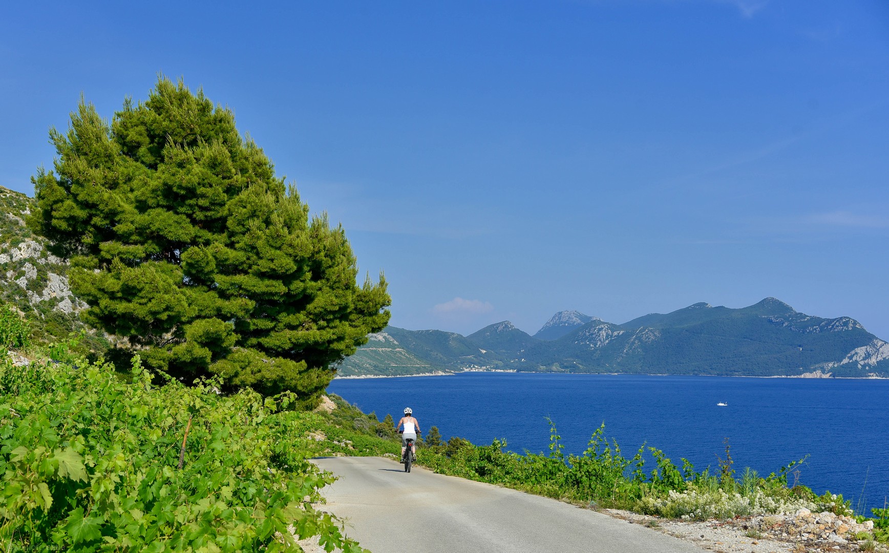 soul-of-croatia-cycling-dalmatian-coast-peljesac-tours